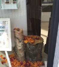 Clogau - Autumn - Cheshire Oaks - Window Scheme