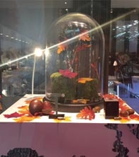 Clogau -Autumn - Cardiff